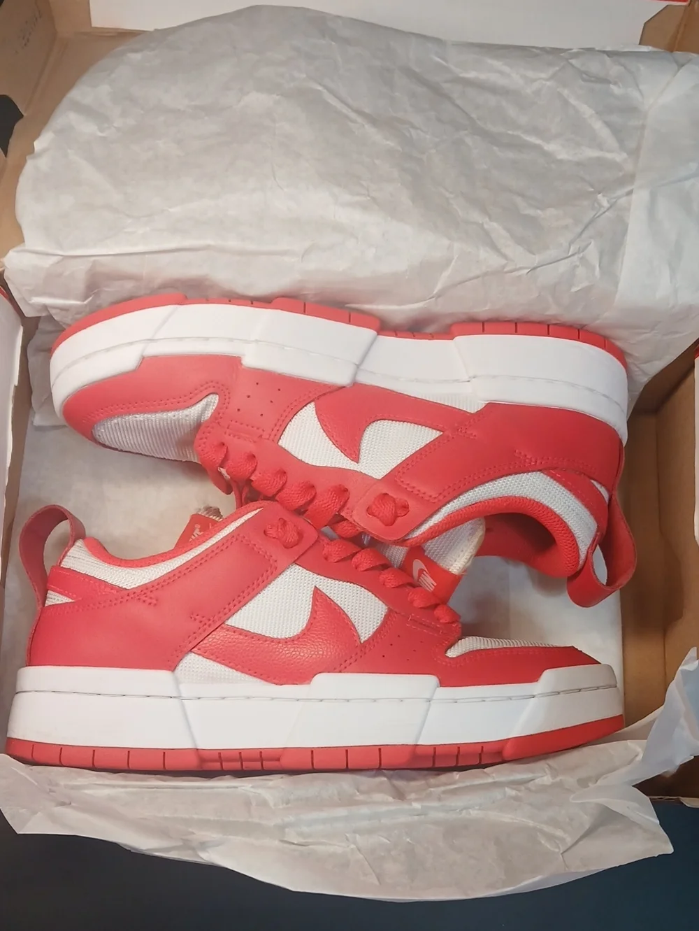 Nike Dunk Low Disrupt 